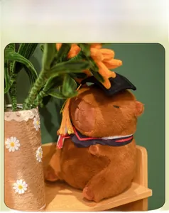 Close-up of cute capybara plush toy in graduation gown and hat on a wooden shelf