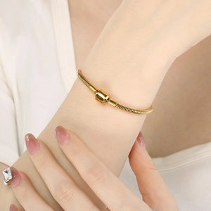 Elegant gold-plated stainless steel snake chain bracelet with classic round barrel clasp