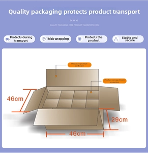 Corrugated cardboard shipping box with internal dividers for secure nail glue transport