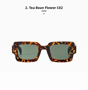 Detail view of tortoiseshell square frames with dark green lenses and C02 model mark