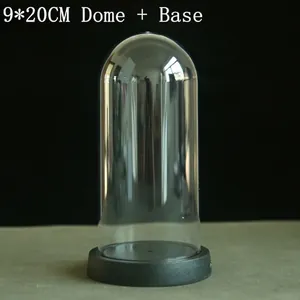 Clear 9x20cm dome with black base for preserved flowers and handicraft displays