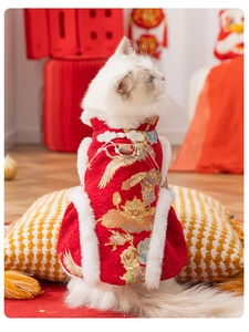 Detail of red cat Tang suit featuring golden crane embroidery and white faux fur trim