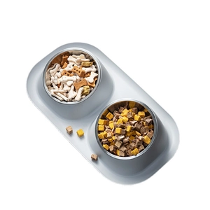 Elevated stainless steel double pet bowls with non-slip base for dogs and cats
