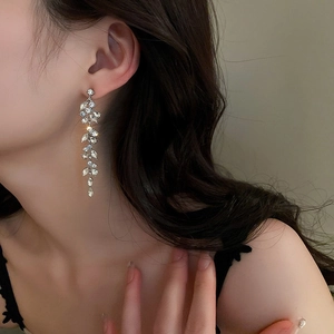 Elegant silver tassel earrings with sparkling rhinestones worn by a model in soft light