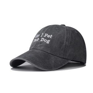Detail of Can I Pet That Dog embroidery on charcoal washed cotton baseball cap