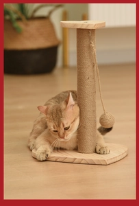 Detail of sisal cat scratching post with solid wood base and dangling play ball accessory