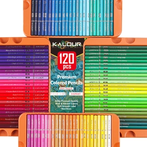 Symmetric layout of 120 professional colored pencils arranged by gradient in orange trays