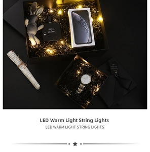 Detail of warm white LED string lights inside a black gift box for festive decoration