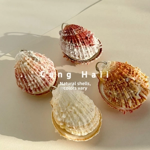 Detailed view of four colorful natural abalone shell notebooks with metal ring hinges