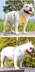 Close-up of breathable mesh dog harness with adjustable straps and metal D-ring attachment