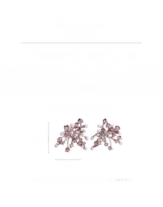 Detailed size chart and material specs for floral zircon pearl earrings weighing 4.8g