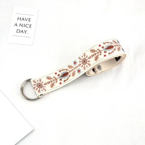 Close-up of ethnic style embroidered canvas belt with silver double D-ring buckle