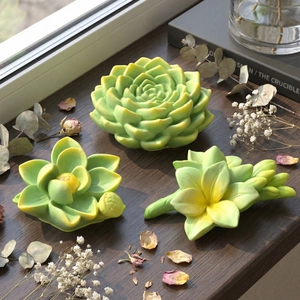 Lot de 3 moules en silicone pour résine en forme de succulentes et lotus vert clair