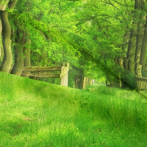 Dettaglio ravvicinato della stampa della foresta e del tessuto di questo arazzo