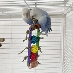 Parrot chewing toy with rattan balls and corn cob for small birds inside a cage