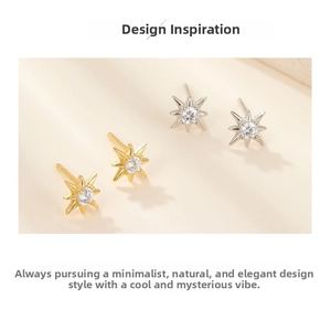 Detail of s925 silver star stud earrings in gold and silver finish with sparkling zircons