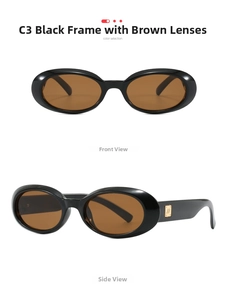 Detail view of oval retro sunglasses with black frame, tea lenses and golden hinge logo