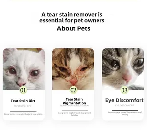 Tableau comparatif des problèmes oculaires félins, taches de larmes et irritations