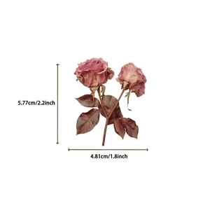 Detail view of vintage dried pink roses with 2.2 inch height dimension for DIY crafts