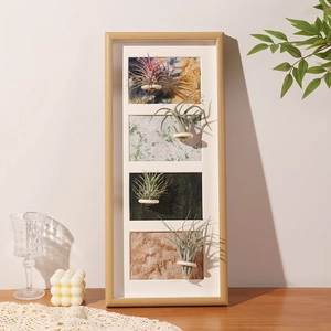 Macro detail of wooden 4-slot photo frame with air plants on textured fabric backdrop