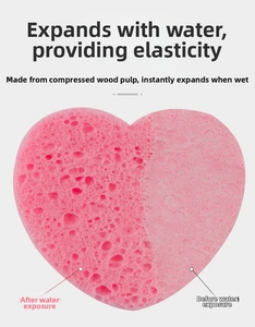 Detailed comparison showing heart shaped wood pulp sponge expanding after contact with water