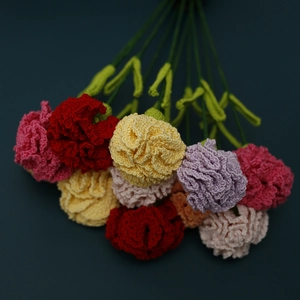 Handmade crochet carnation bouquet with colorful lace yarn flowers for Mother's Day gift
