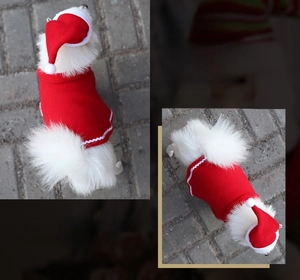 Detail of red Christmas pet cape and hat with white faux fur trim and velvet texture