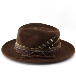 Retro dark brown wide brim felt fedora with ethnic embroidery and feather detail