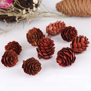 Macro shot of natural pine cones for Christmas decor showing unique sizes and textures