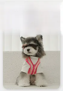 Detail of pink cotton pet t-shirt with Present letter print and stylish dog vest outfit