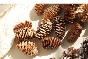 Close-up of natural, gold and snow-tipped pine cones on textured fabric