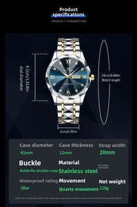 Detailed technical diagram showing 41mm dial diameter and 24cm total watch length