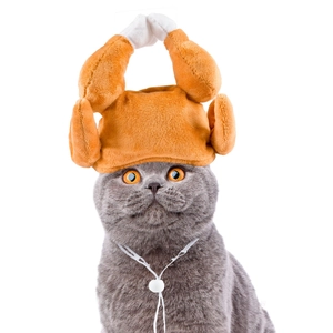 Detail of plush roasted turkey pet hat with adjustable drawstring on a grey cat