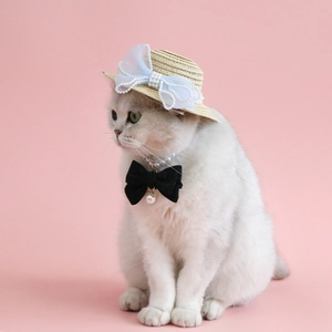 Close-up of a cat wearing a straw hat with pearls and a black bow tie necklace