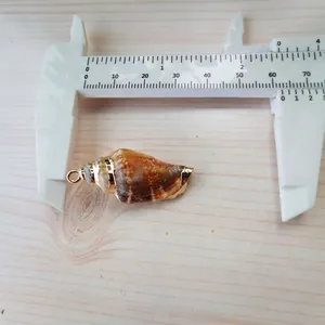 Nahaufnahme von 35mm Naturschneckenanhänger mit vergoldeten Kanten auf dem Messschieber