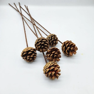 Natürliche Kiefernzapfen-Deko mit Stielen für Weihnachtsbaum und festliche Dekoration