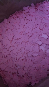 Detail of pink silicone Y-shape lash lift brushes and eye pads for eyelash grafting extension
