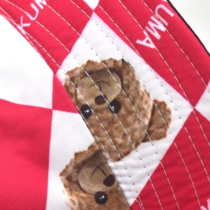 Macro shot of bear print on red gingham check fabric with fine double stitching