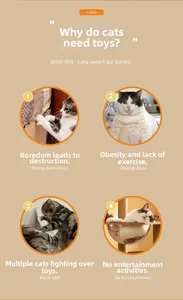 Infographic showing feline behavioral issues solved by using interactive cat toys