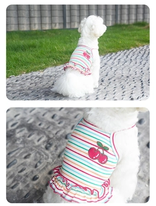 Detail of dog summer dress featuring rainbow stripes, cherry embroidery and ruffle hem