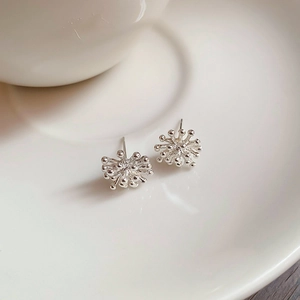 Macro shot of silver fireworks stud earrings with zircon on a white ceramic plate