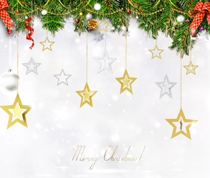 Close-up of gold and silver hollow star ornaments with pine needles and snowflakes