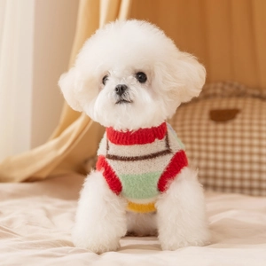 Striped knit sweater for small dogs in vibrant red green yellow and white colors