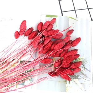 Natural dried red grass bouquet in a rustic home decor setting with vintage textures
