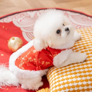 Festive red pet dog vest with gold floral embroidery and white faux fur collar