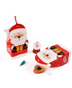 Detail showing Santa Claus 3D gift box with cookies inside on a festive background