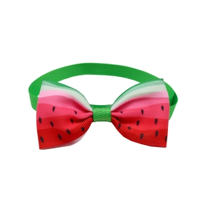 Close-up of watermelon pattern pet bowtie with adjustable strap for small dogs and cats