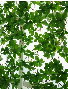 Detail of lush green artificial vine leaves hanging against a bright window frame