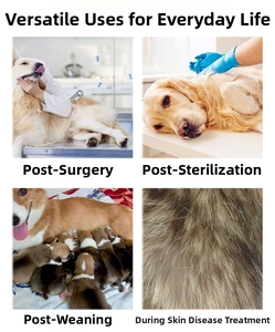 Dog recovery suit showing surgical care, neutering, weaning, and skin treatment use