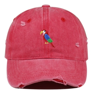 Close-up of colorful parrot embroidery and distressed details on a washed red baseball cap
